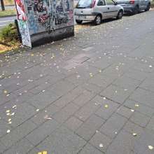 Bild zu gemeldetem Anliegen vom *2025-10-14 10:17:23