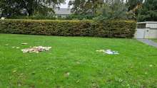 Bild zu gemeldetem Anliegen vom *2025-10-11 12:27:38