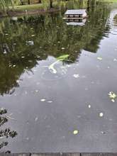 Bild zu gemeldetem Anliegen vom *2025-10-27 09:36:21