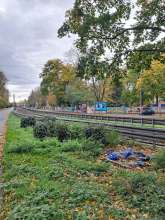 Bild zu gemeldetem Anliegen vom *2025-10-26 09:33:41