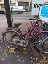 Bild zu gemeldetem Anliegen vom *2025-10-31 15:29:53