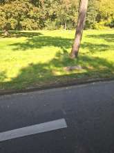 Bild zu gemeldetem Anliegen vom *2025-10-01 12:27:17