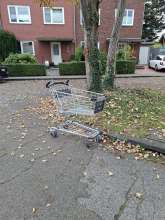 Bild zu gemeldetem Anliegen vom *2025-10-12 15:30:04