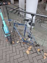 Bild zu gemeldetem Anliegen vom *2025-10-16 10:35:43