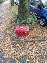Bild zu gemeldetem Anliegen vom *2025-10-16 12:30:58
