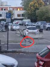 Bild zu gemeldetem Anliegen vom *2025-10-22 18:30:19
