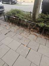 Bild zu gemeldetem Anliegen vom *2025-10-08 16:55:19