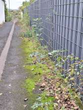 Bild zu gemeldetem Anliegen vom *2025-10-09 11:44:15