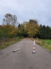 Poller sehen abgeflext aus, einer liegt quer