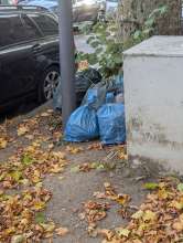 Bild zu gemeldetem Anliegen vom *2025-10-19 12:36:06