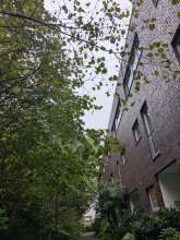 Bild zu gemeldetem Anliegen vom *2025-10-07 06:29:30
