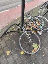 Bild zu gemeldetem Anliegen vom *2025-10-28 12:27:25