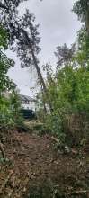 Bild zu gemeldetem Anliegen vom *2025-10-06 11:04:56