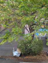 Seit ca. vier Wochen liegen hier ein kaputter Tisch und eine Kommode.