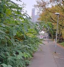 Bild zu gemeldetem Anliegen vom *2025-10-20 06:29:48