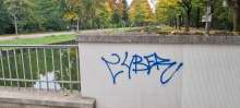 Bild zu gemeldetem Anliegen vom *2025-10-14 13:47:25