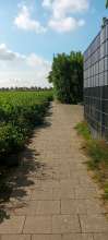 Bild zu gemeldetem Anliegen vom *2025-10-10 19:07:43