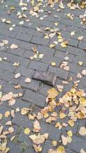 Bild zu gemeldetem Anliegen vom *2025-10-18 09:28:23