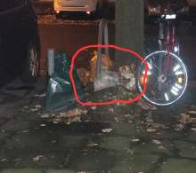Bild zu gemeldetem Anliegen vom *2025-10-07 18:31:55