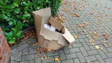 Bild zu gemeldetem Anliegen vom *2025-10-12 12:32:49