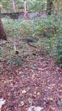 Bild zu gemeldetem Anliegen vom *2025-10-13 13:26:50