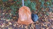 Bild zu gemeldetem Anliegen vom *2025-10-17 14:28:17