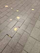 Bild zu gemeldetem Anliegen vom *2025-10-31 12:27:30