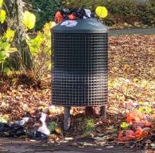 Bild zu gemeldetem Anliegen vom *2025-10-27 10:26:19