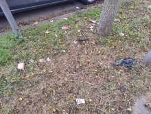Bild zu gemeldetem Anliegen vom *2025-10-18 12:27:06
