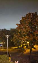 Bild zu gemeldetem Anliegen vom *2025-10-13 21:28:27
