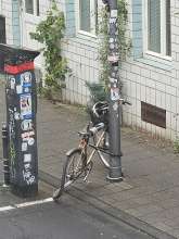 Bild zu gemeldetem Anliegen vom *2025-10-07 09:34:19