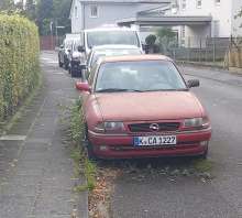 Bild zu gemeldetem Anliegen vom *2025-10-05 16:13:44