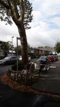Bild zu gemeldetem Anliegen vom *2025-10-05 12:56:00