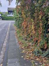 Bild zu gemeldetem Anliegen vom *2025-10-07 15:32:58