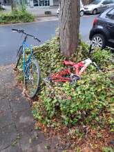 Bild zu gemeldetem Anliegen vom *2025-10-13 11:08:45