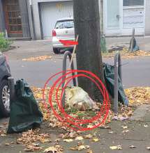 Bild zu gemeldetem Anliegen vom *2025-10-19 16:18:15