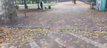 Bild zu gemeldetem Anliegen vom *2025-10-26 12:51:03