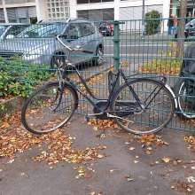 Bild zu gemeldetem Anliegen vom *2025-10-31 09:54:59