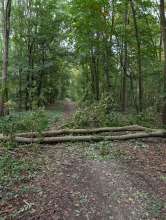 Bild zu gemeldetem Anliegen vom *2025-10-10 18:29:40