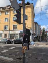 Bild zu gemeldetem Anliegen vom *2025-10-04 15:28:08