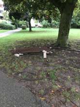 Bild zu gemeldetem Anliegen vom *2025-10-07 12:48:47