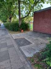 Bild zu gemeldetem Anliegen vom *2025-10-13 12:28:23