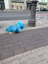 Bild zu gemeldetem Anliegen vom *2025-10-26 15:28:38