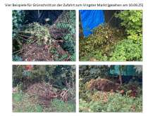 Bild zu gemeldetem Anliegen vom *2025-10-18 15:52:48