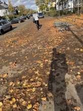 Bild zu gemeldetem Anliegen vom *2025-10-24 13:36:35