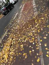 Bild zu gemeldetem Anliegen vom *2025-10-28 12:27:25