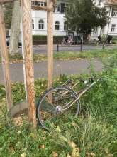 Bild zu gemeldetem Anliegen vom *2025-10-06 18:29:05