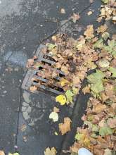 Bild zu gemeldetem Anliegen vom *2025-10-20 12:33:24