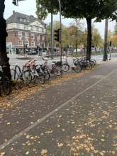 Bild zu gemeldetem Anliegen vom *2025-10-11 09:33:34