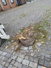 Bild zu gemeldetem Anliegen vom *2025-10-11 12:27:38